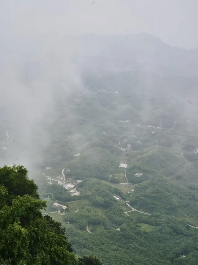 Traveling with Autumn | The Bamboo Sea in Southern Sichuan, Yibin, Western Sichuan