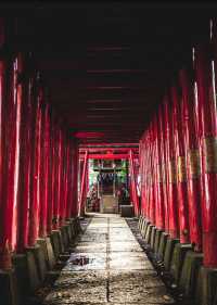 古色古香，鮮豔的朱紅色——東京花園神社