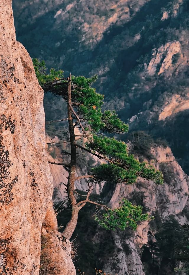 關於老君山的一百種文案，都不如來一次覺得驚豔