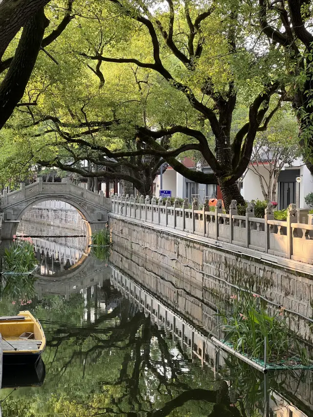 Pilgrimage to the Water Towns of Jiangnan - Anting Old Street