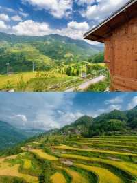 貴州雷山|九月,一起去貴州看金黃梯田
