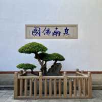 泉州｜月台別院 承天禪寺