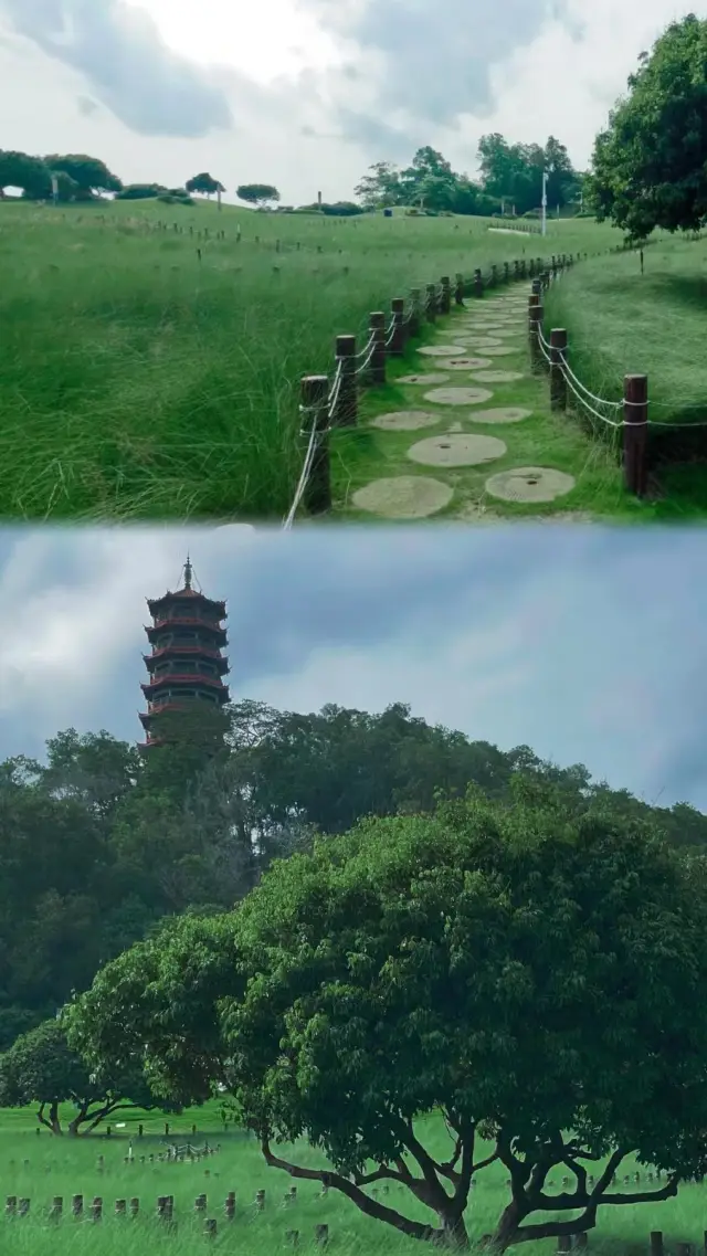 I declare! This is the summer in the Shenzhen version of Miyazaki's anime!!!