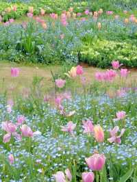 合肥｜趁著陽光正好春遊花世界享受愉快週末