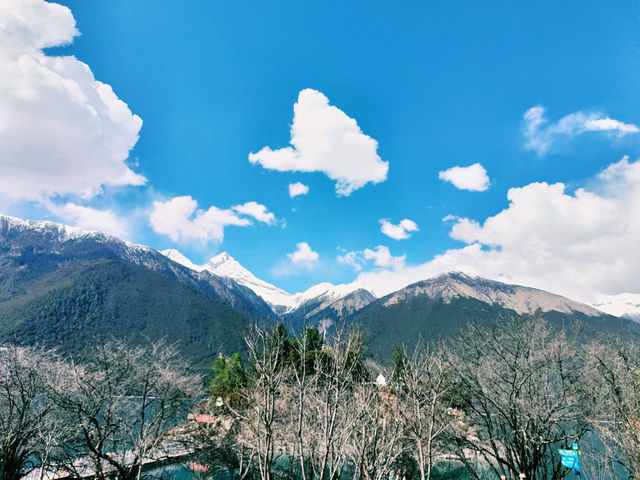 春天玩點花的去林芝的路閱花苞，雲