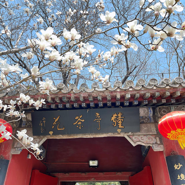 戒台寺｜尋覓心靈的寧靜角落
