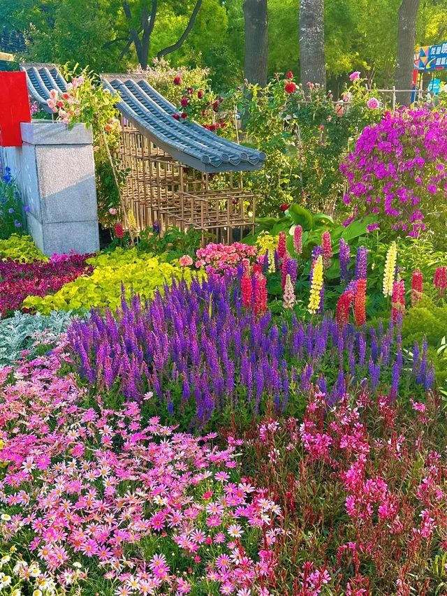 北京自己的莫奈花園！