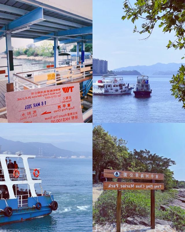原以為麥理浩徑已經夠美了，直到去了東平洲…