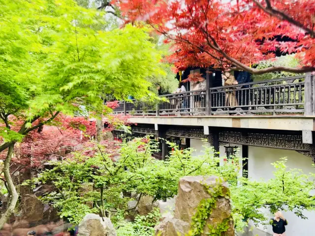 중국 원림의 유일한 예