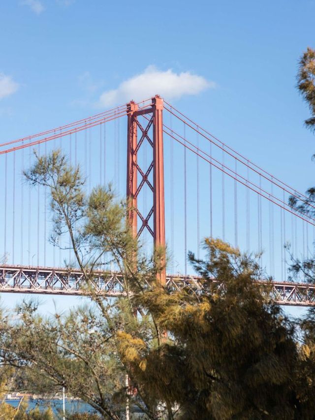 Lisbon Luxe: Hyatt Regency's Coastal Charm 🌉✨