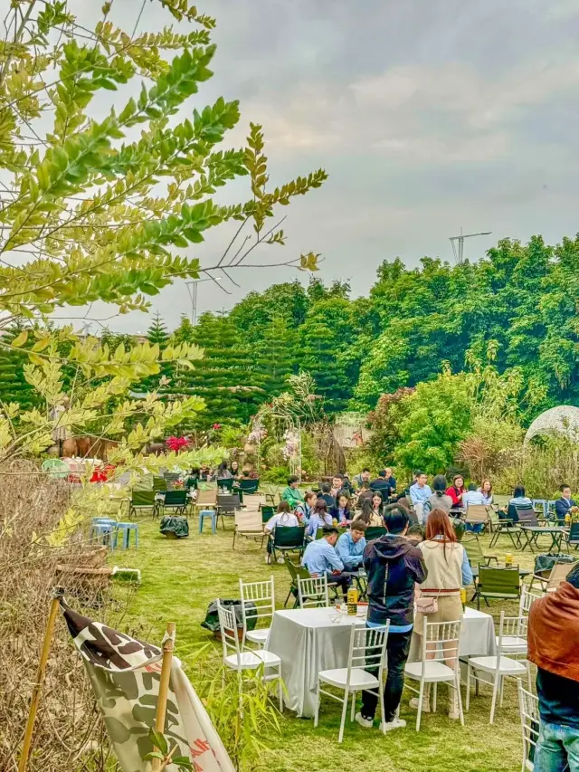Shunde company team building camping!! I've really fallen in love with this place~