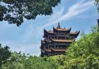 學霸福利來了，會背詩就免票！後悔沒有好好學習了…