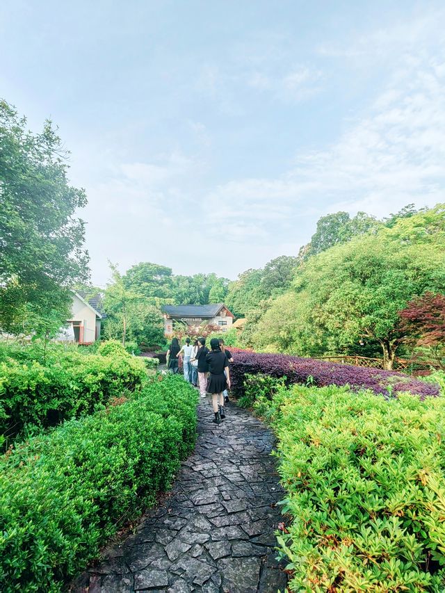 義烏瘋狗露營基地，名字奇特，風景秀麗