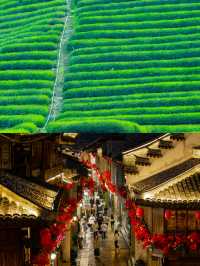 臨海，跟風成功的一次旅遊