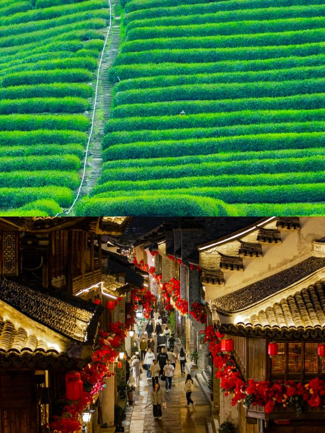 臨海，跟風成功的一次旅遊