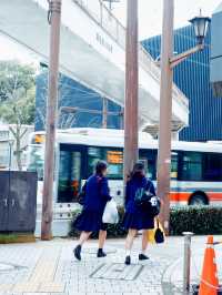 【熊本春天好去處】城市漫步品味文學氛圍自在郊遊必備之地