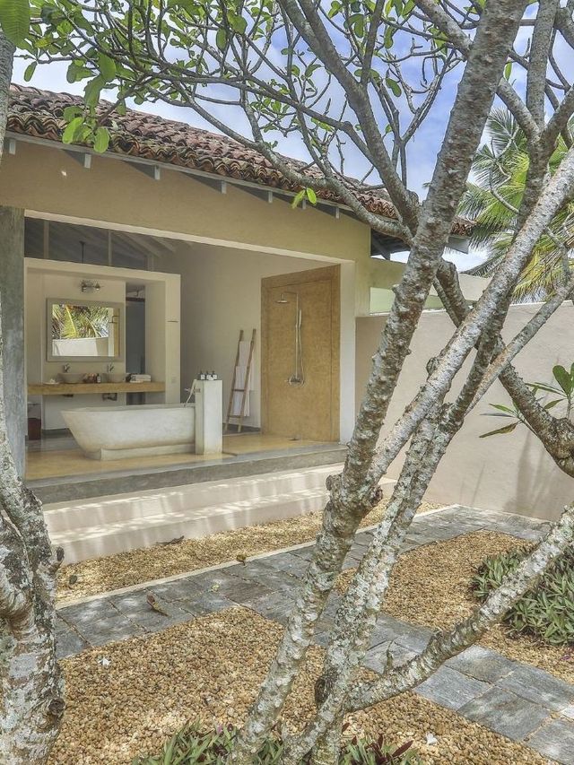🌴🛏️ Sri Lanka's Serene Stay: Frangipani Tree! 🏖️