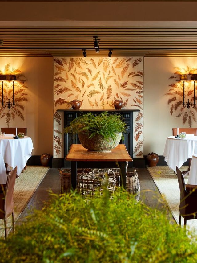 🌟 Narberth's Hidden Gem: Luxe Stay & Scenic Views 🌳