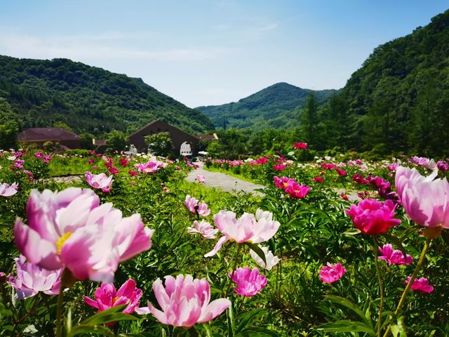 東北小江南，靠近朝鮮