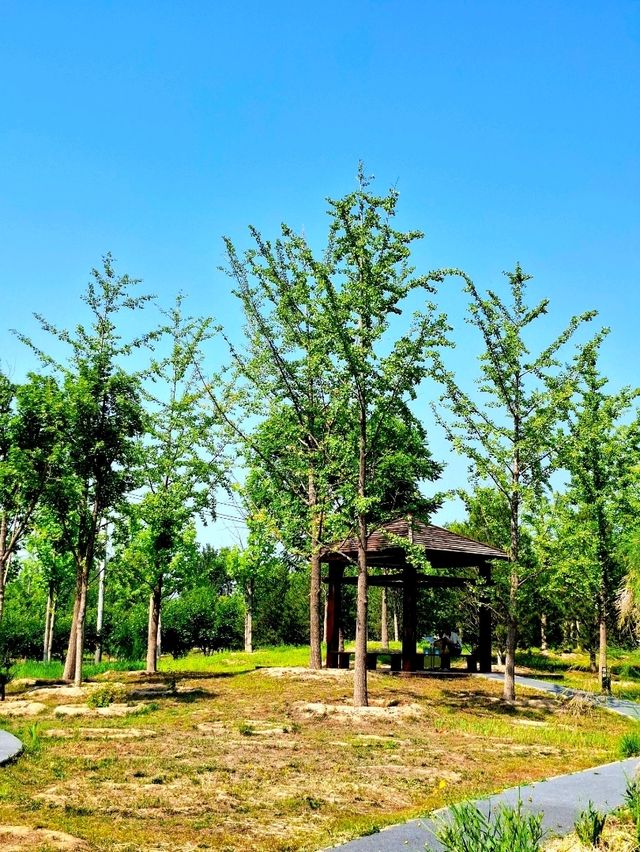 Calming and Refreshing Park in Chaoyang