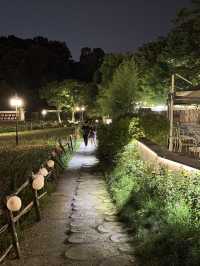 夜遊南京不老村！風景真美！氣候宜人！