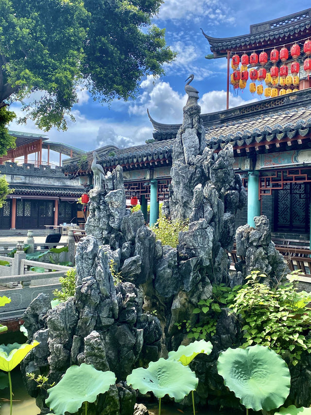 誤入藕花深處，深圳小蘇杭，古城荷花