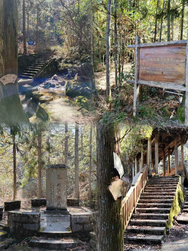 森林氧吧—山清水秀的溫州最高峰—烏岩嶺攻略