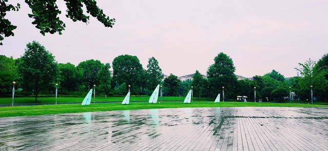 閔行文化公園｜梅雨瀟瀟瀝瀝，公園鬱鬱蔥蔥