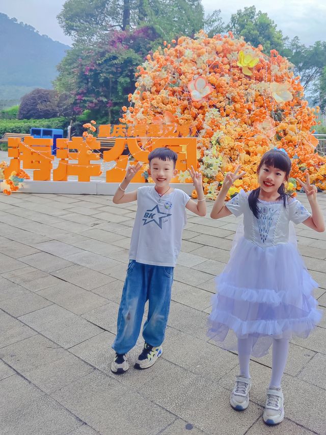 漢海海洋公園又添新耍事，快來和羊咩咩度假