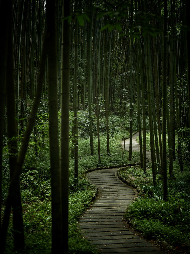 有一種成都的玩法叫彭州 有一種成都的玩法叫彭州