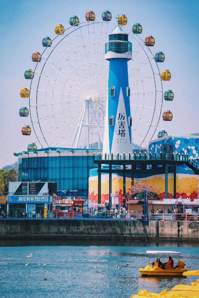 去了8次大連熬夜總結三天兩晚旅遊攻略