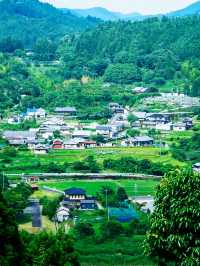 打開日本新世界日本的小眾玩法