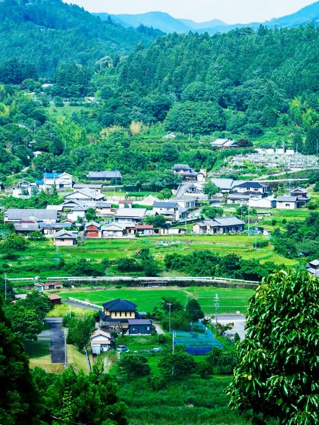 打開日本新世界日本的小眾玩法