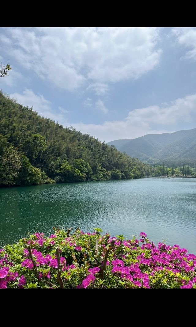 酷暑難當的夏天，想要來個夏日清涼避暑遊？