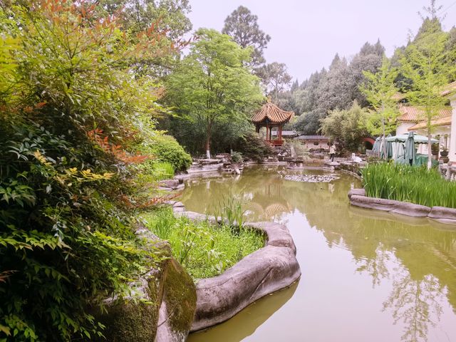 一起看綿陽世界級風景｜免費景點，富樂山