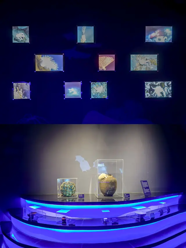 Don't know where to take the kids? Come to the Sanya Manned Deep Diving Science Experience Hall