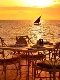 🌴 Maldives Magic: Ayada's Tropical Escape 🌊🏝️