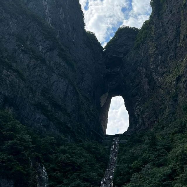 Nature never goes out of style 