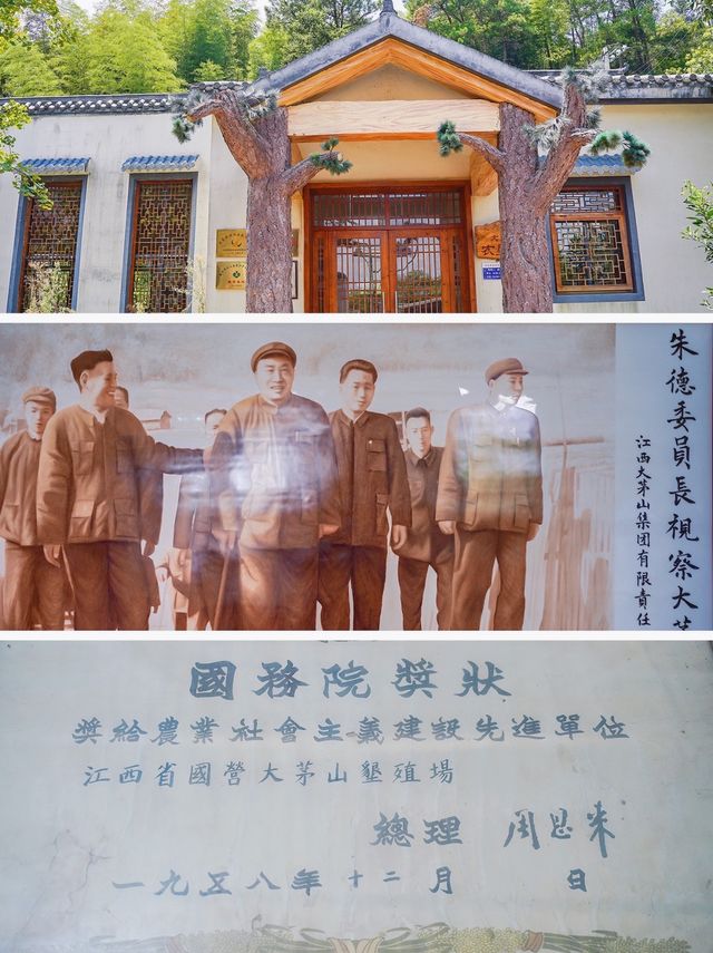 江西德興的老知青宿舍，如今的旅遊勝地，打卡攻略來了
