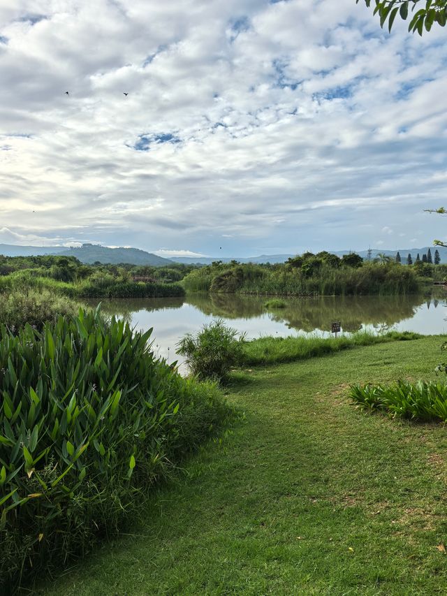 開遠鳳凰濕地公園