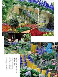 「深圳筆架山粵港澳大灣區花展」：花海盛宴，不容錯過