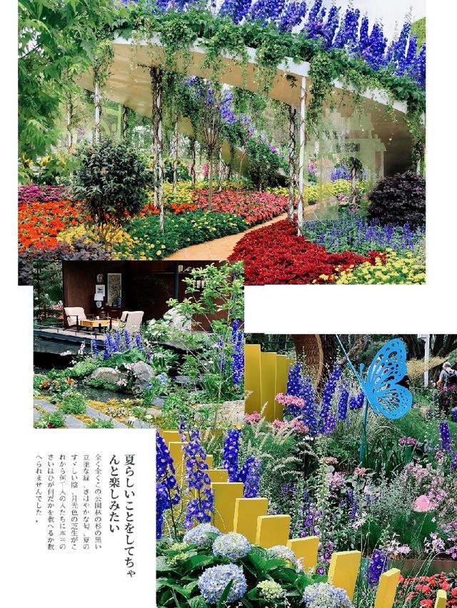 「深圳筆架山粵港澳大灣區花展」：花海盛宴，不容錯過