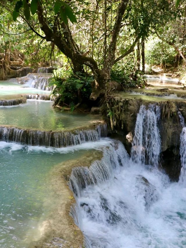Kuangsi Waterfalls most adventurous experience❤️