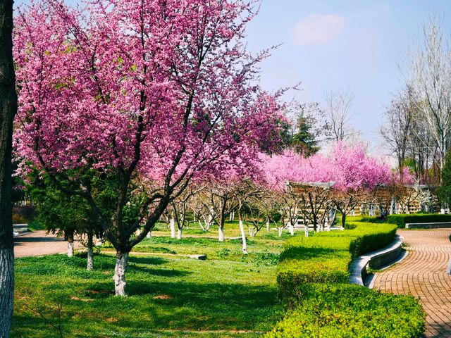 西安浐灞國家濕地公園|一年去N次的遛娃聖地。 西安浐灞國家濕地公園|一年去N次的遛娃聖地。