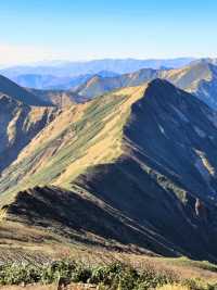 日本行山探索|週末林間之旅。