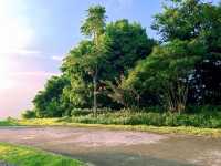 太子坑森林公園，隱藏於都市喧囂之外的綠色寶地