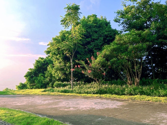 太子坑森林公園，隱藏於都市喧囂之外的綠色寶地