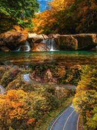 人生建議：一定要在秋天去一次光霧山看紅葉！
