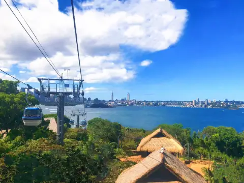 Taronga zoo觀光纜車，面朝大海，俯瞰動物世界