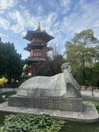 西安興慶宮公園小記。